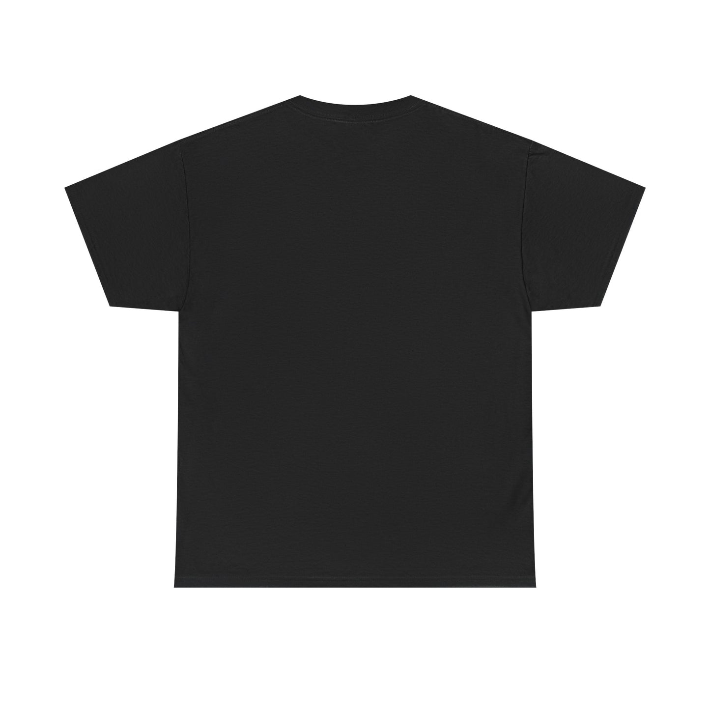 Copy of DXM Unisex Heavy Cotton Tee