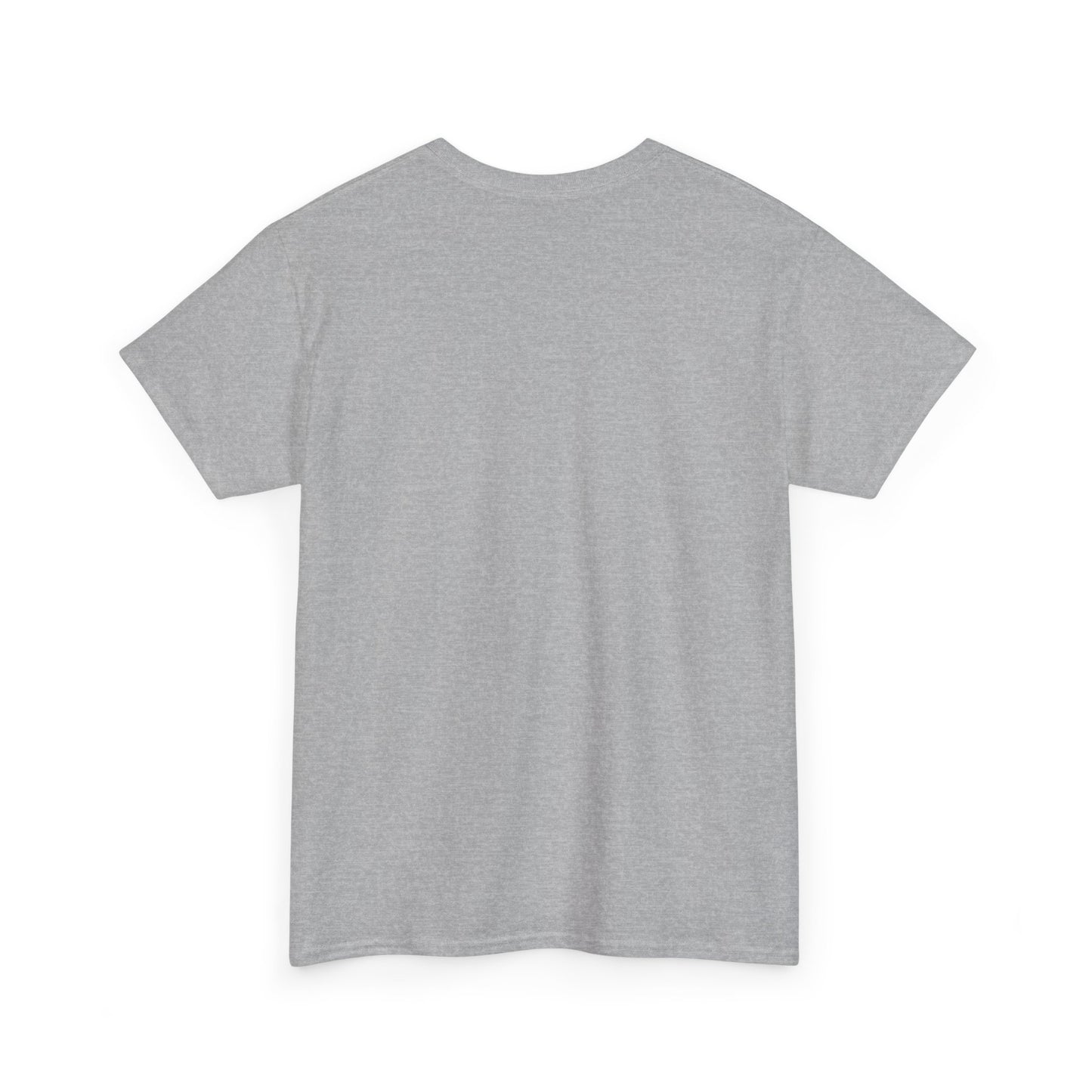 Copy of DXM Unisex Heavy Cotton Tee
